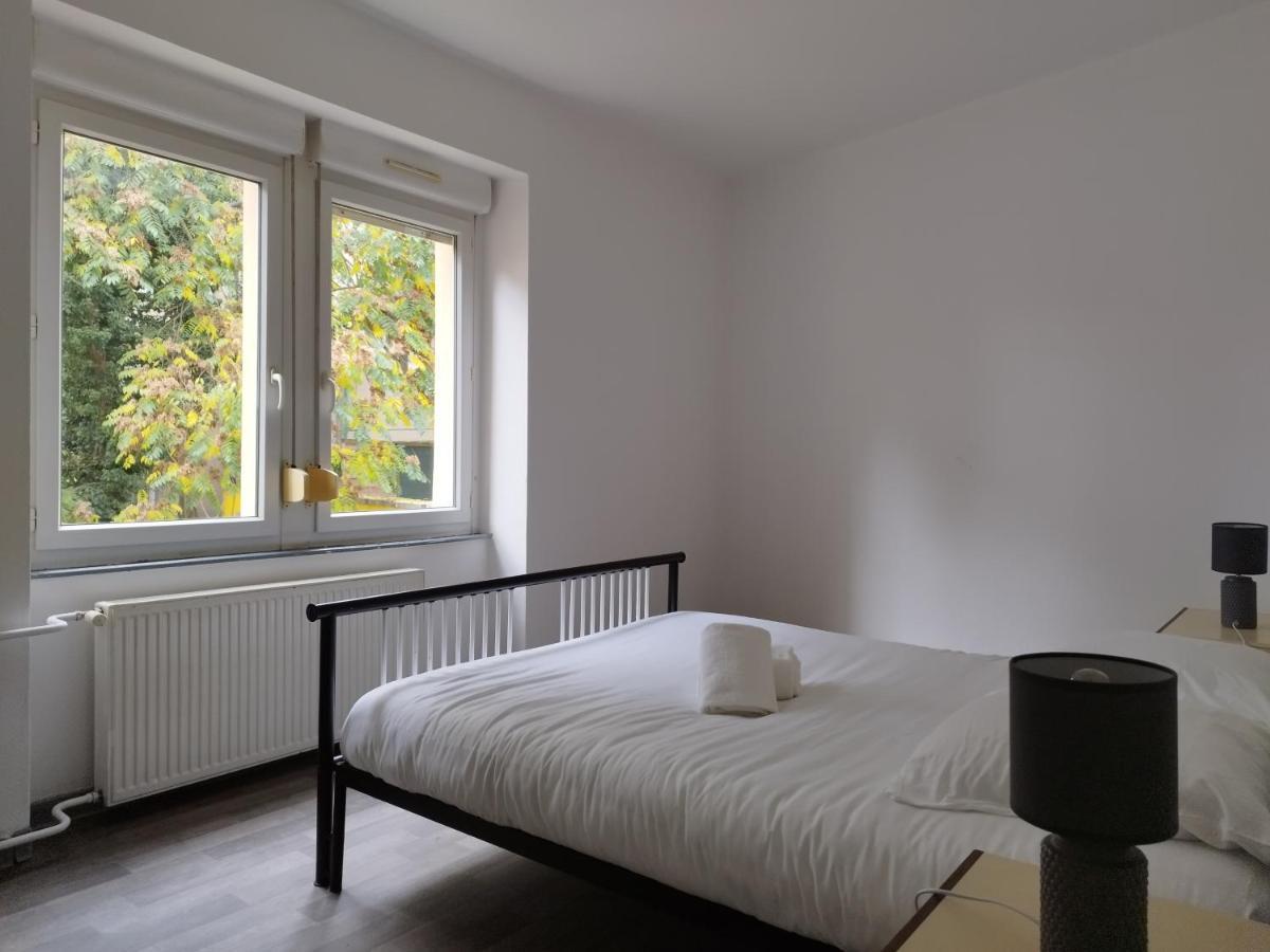 Le Thannois - Appartement 2 Chambres, Salon, Cuisine Equipee, Parking Et Wifi Gratuit Mulhouse Exterior photo