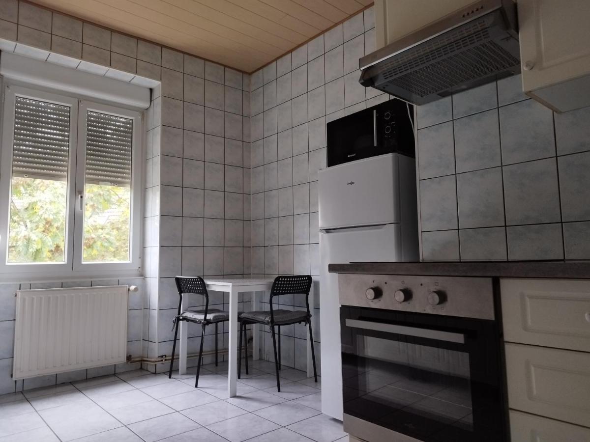 Le Thannois - Appartement 2 Chambres, Salon, Cuisine Equipee, Parking Et Wifi Gratuit Mulhouse Exterior photo