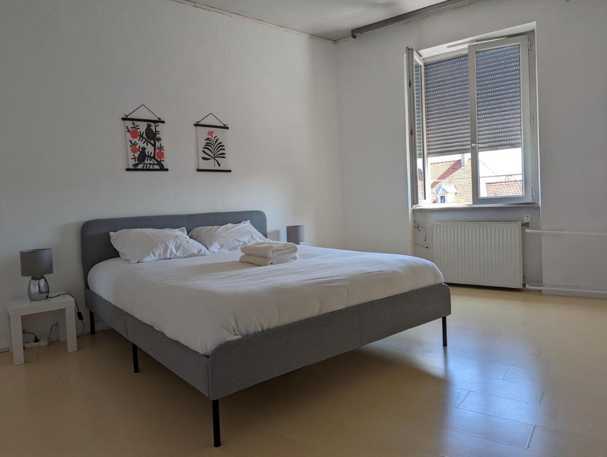 Le Thannois - Appartement 2 Chambres, Salon, Cuisine Equipee, Parking Et Wifi Gratuit Mulhouse Exterior photo